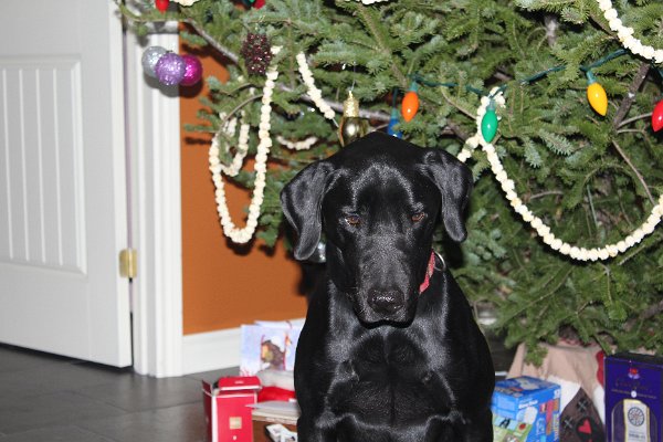 New Camera Dec2010 167